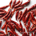 New Crop Good Quality Vegetable 4-7cm Tian Ying Chili